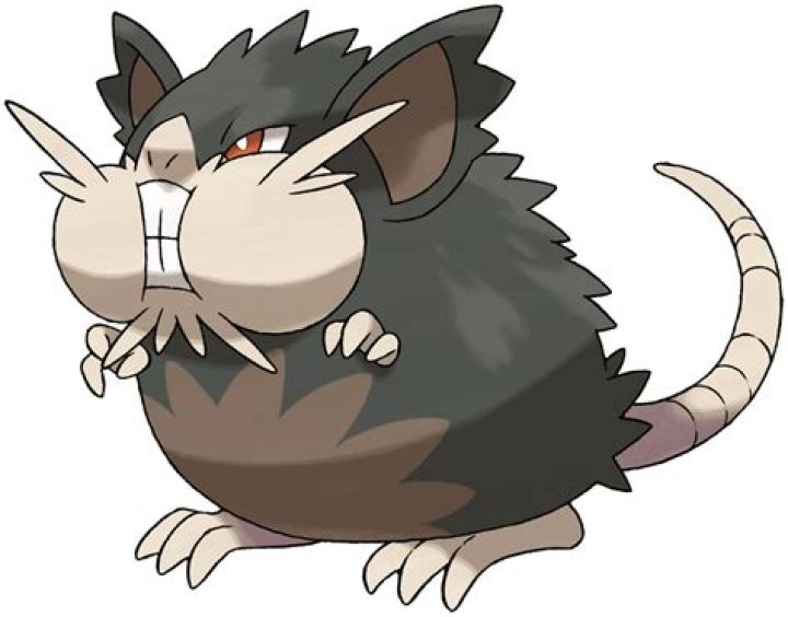 Alolan Raticate