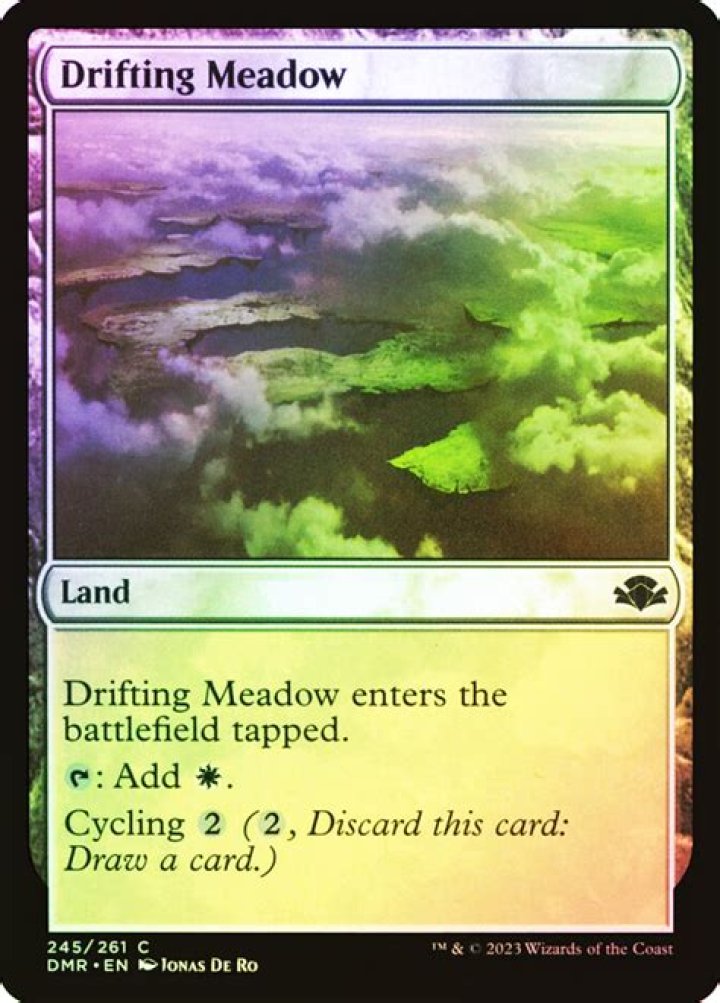 Drifting Meadow