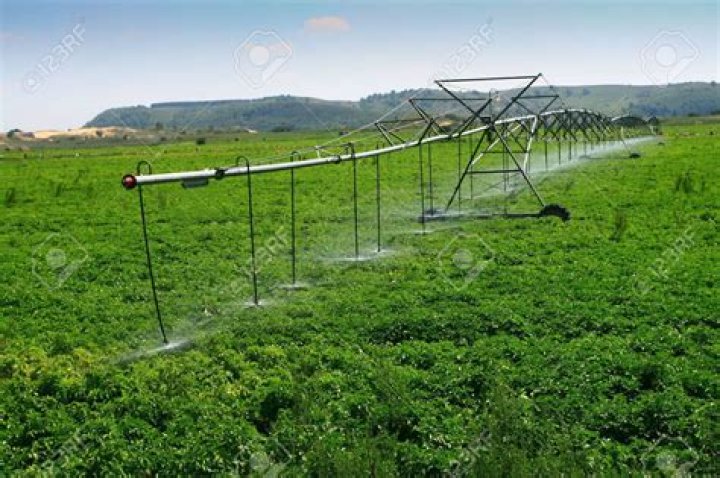 Irrigated Farmland